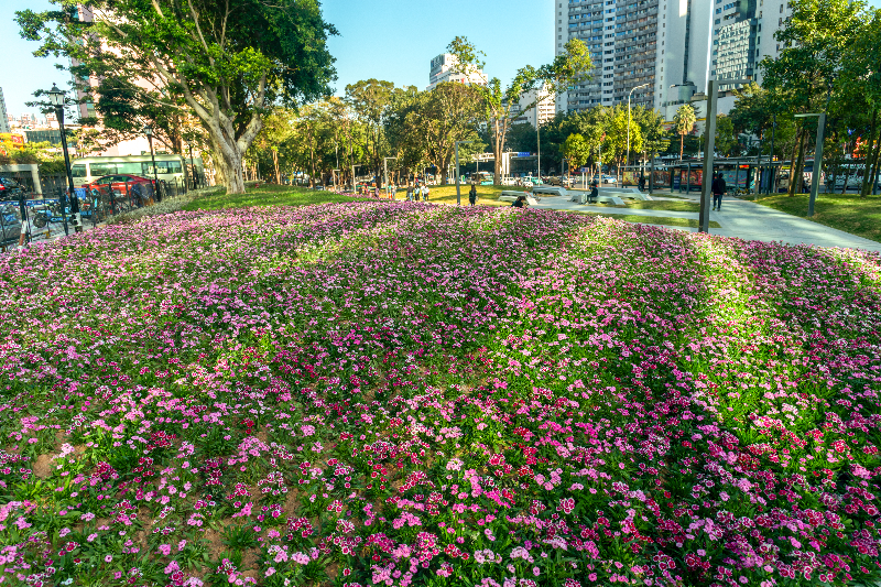 時代社區(qū)公園-02.jpg