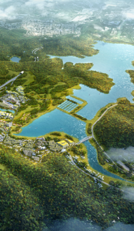 Shenzhen and Hong Kong strengthen cooperation on ecological conservation